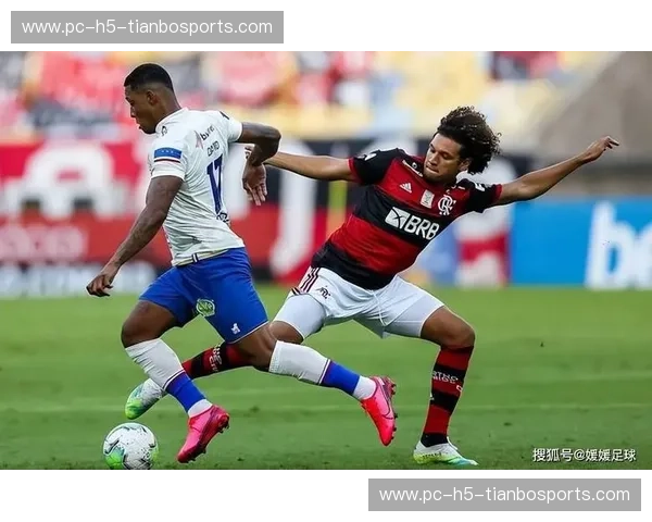 巅峰对决：博塔弗戈vs米内罗竞技，南美之巅的孤星复兴与雄鸡神话